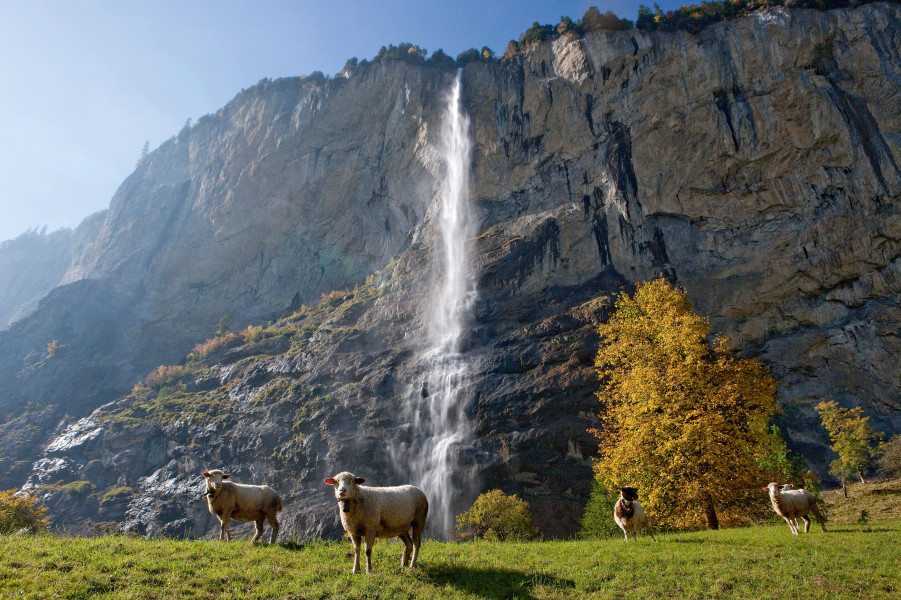 Staubbach Falls